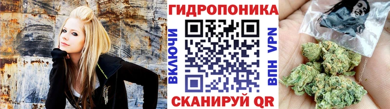 Купить закладки  Сибай  Бошки Шишки сатива 